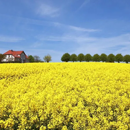 아파트 Gollwitzer Park - Insel Poel-6 By Interhome