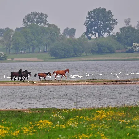 Gollwitzer Park - Insel Poel-6 By Interhome Apartment